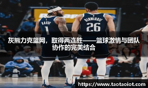 im电竞平台官网