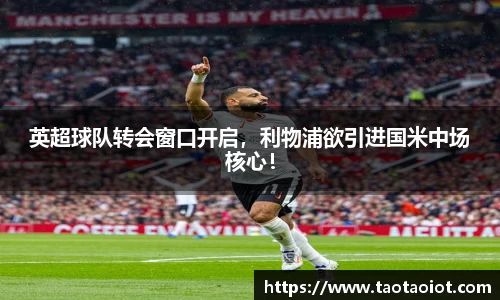 im电竞