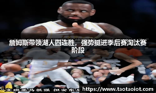 im电竞平台官网