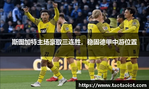 im电竞·电子竞技平台