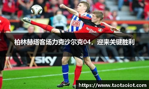 im电竞官网