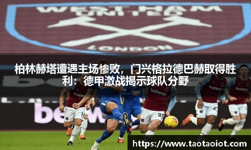 im电竞官网