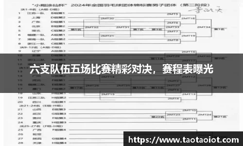 im电竞平台官网