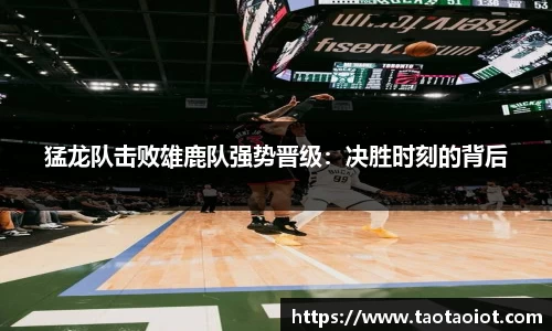 im电竞平台官网