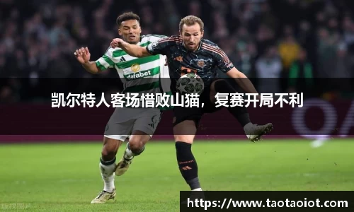 im电竞平台官网