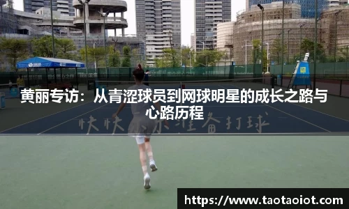 im电竞官网