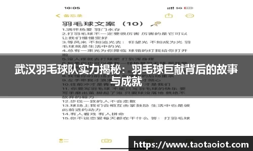 im电竞平台官网