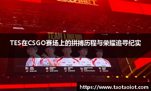 im电竞平台官网