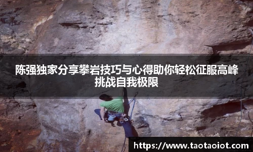 im电竞平台官网