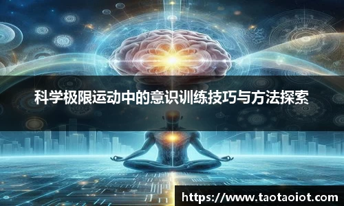 im电竞