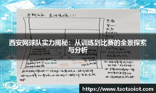 im电竞官网