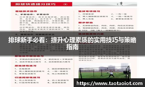 im电竞官网