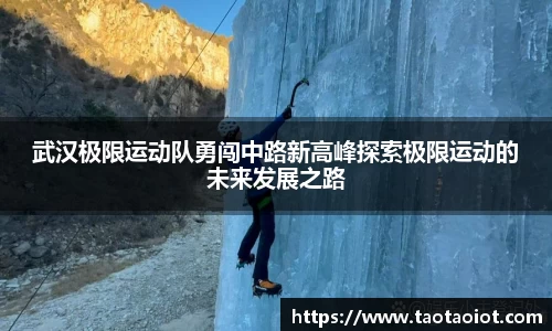 im电竞官网