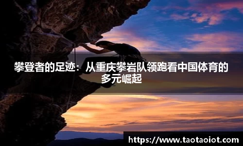 im电竞官网