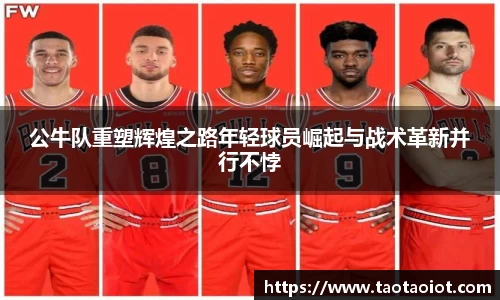 im电竞官网
