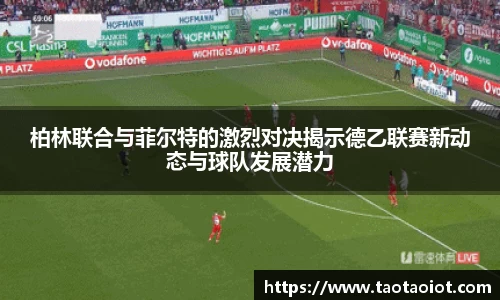 im电竞平台官网