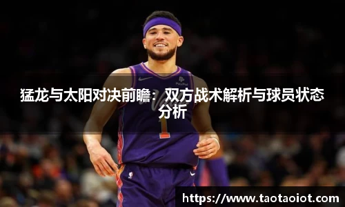im电竞官网