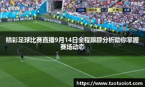 im电竞