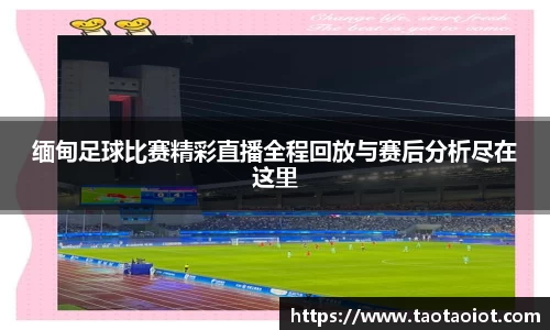 im电竞平台官网