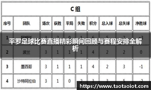 im电竞平台官网