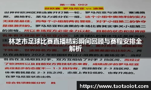 im电竞平台官网