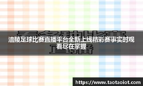 im电竞平台官网