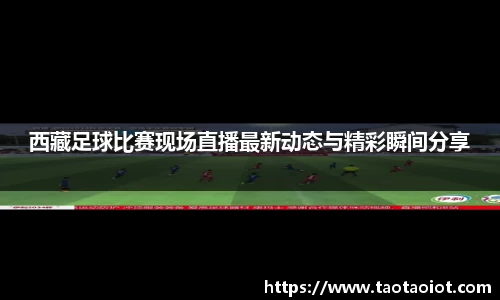 im电竞·电子竞技平台