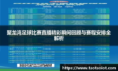 im电竞平台官网