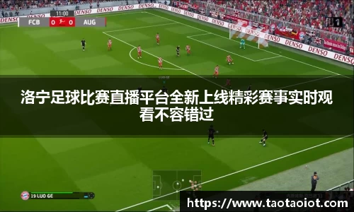 im电竞官网