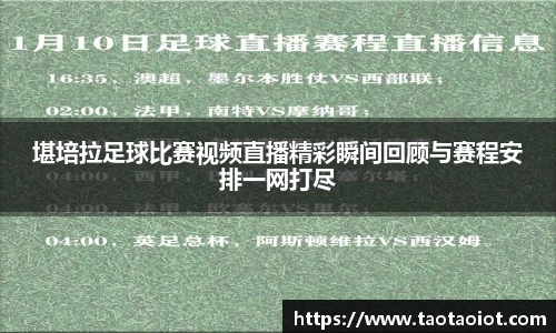 im电竞官网