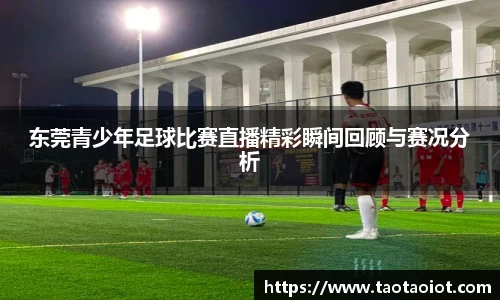 im电竞平台官网