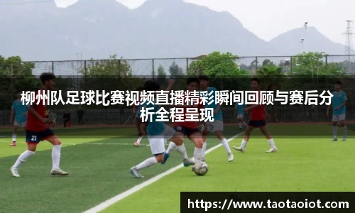 im电竞平台官网