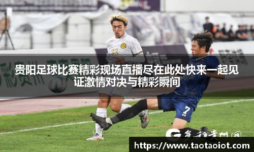im电竞·电子竞技平台