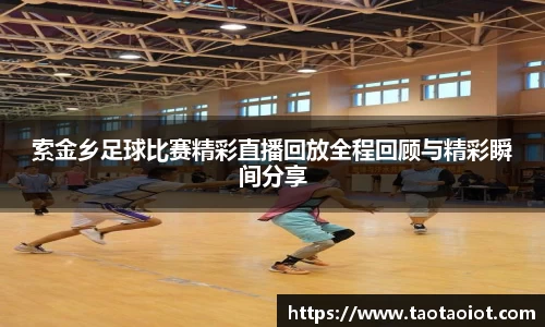 im电竞平台官网
