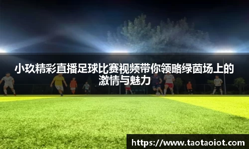 im电竞官网
