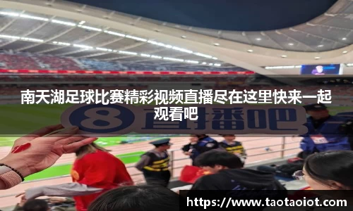 im电竞平台官网
