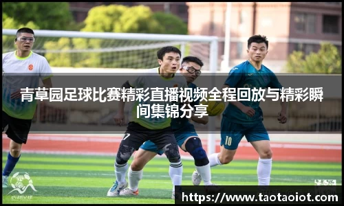 im电竞平台官网