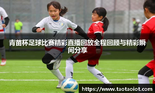 im电竞·电子竞技平台