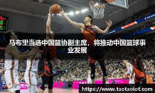 im电竞平台官网
