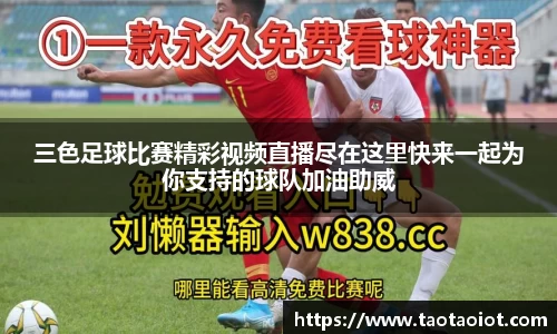 im电竞官网