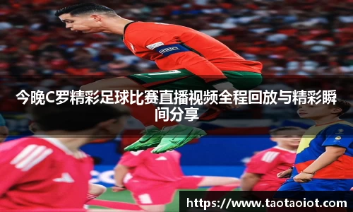 im电竞·电子竞技平台