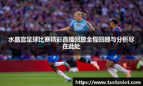 im电竞官网