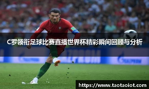 im电竞·电子竞技平台