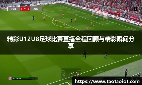 im电竞
