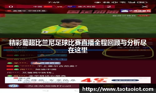 im电竞平台官网