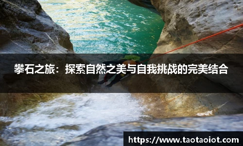 im电竞官网