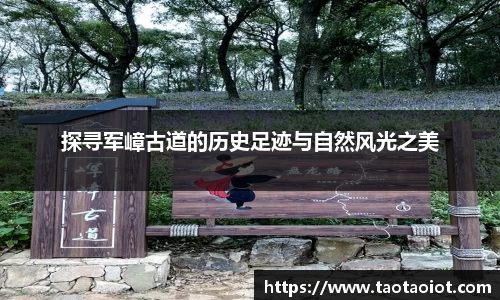 im电竞·电子竞技平台