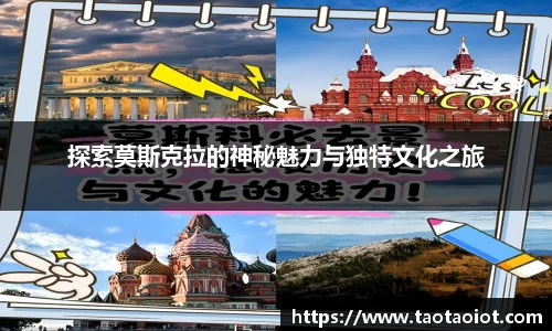 im电竞·电子竞技平台