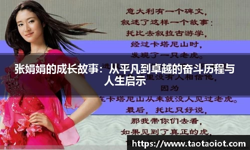 im电竞平台官网