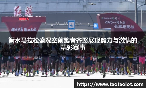 im电竞官网